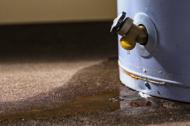 Best 24-hour water damage restoration  in Parchment, MI