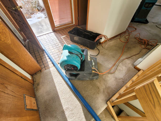 Best Water damage cleanup near me  in Parchment, MI