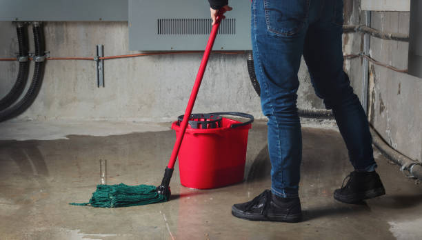 Best Local water damage restoration  in Parchment, MI