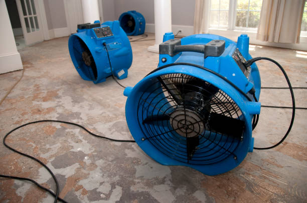 Best Emergency water damage restoration  in Parchment, MI