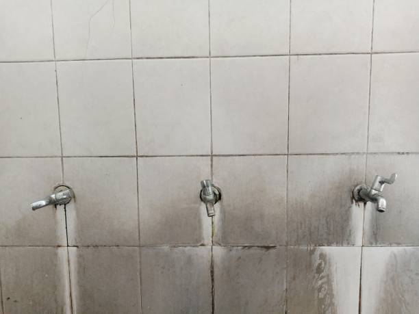 Best Flood damage cleanup  in Parchment, MI
