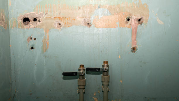 Best Water damage restoration near me  in Parchment, MI