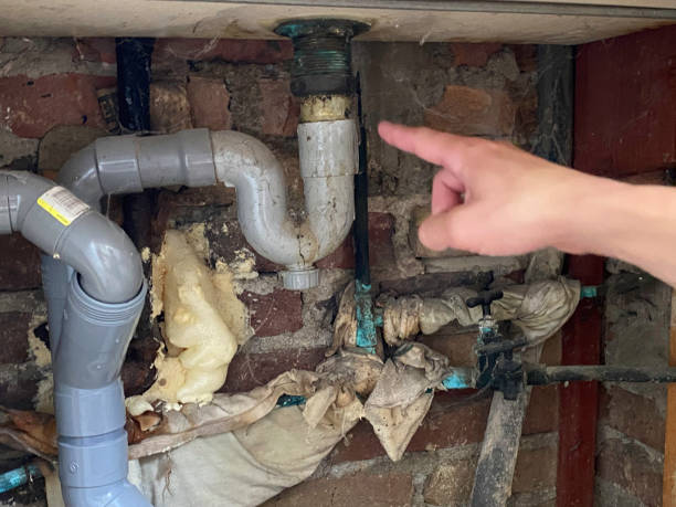 Best 24/7 water damage repair  in Parchment, MI